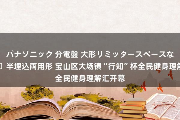 パナソニック 分電盤 大形リミッタースペースなし 露出・半埋込両用形 宝山区大场镇“行知”杯全民健身理解汇开幕