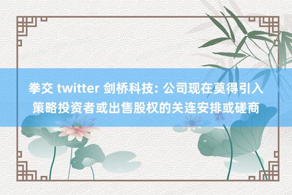 拳交 twitter 剑桥科技: 公司现在莫得引入策略投资者或出售股权的关连安排或磋商