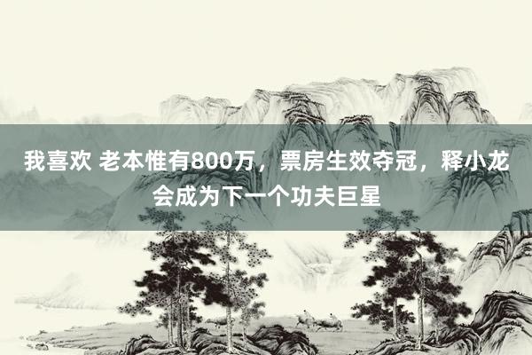 我喜欢 老本惟有800万，票房生效夺冠，释小龙会成为下一个功夫巨星