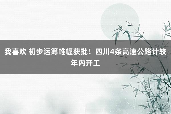 我喜欢 初步运筹帷幄获批！四川4条高速公路计较年内开工