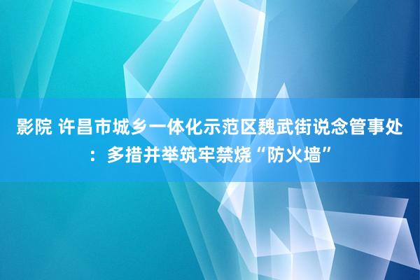 影院 许昌市城乡一体化示范区魏武街说念管事处：多措并举筑牢禁烧“防火墙”