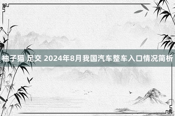 柚子猫 足交 2024年8月我国汽车整车入口情况简析