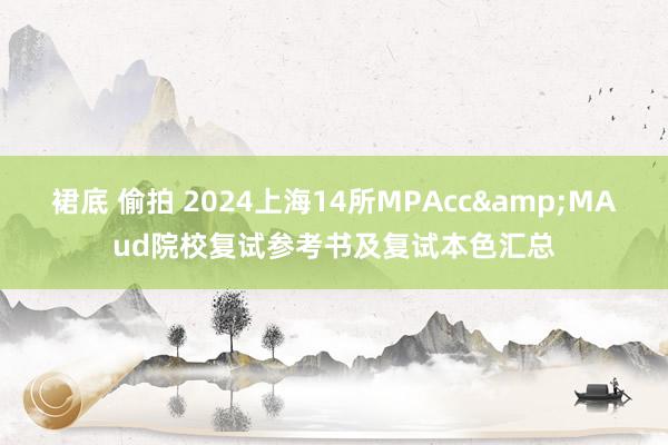 裙底 偷拍 2024上海14所MPAcc&MAud院校复试参考书及复试本色汇总