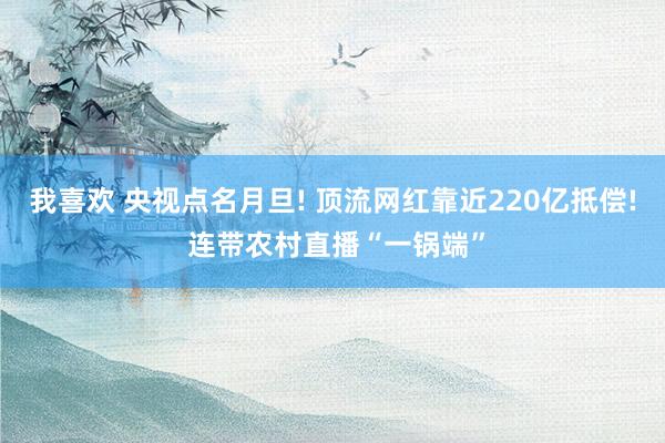 我喜欢 央视点名月旦! 顶流网红靠近220亿抵偿! 连带农村直播“一锅端”