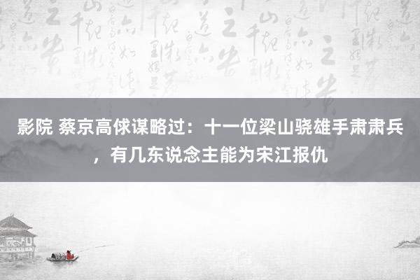 影院 蔡京高俅谋略过：十一位梁山骁雄手肃肃兵，有几东说念主能为宋江报仇