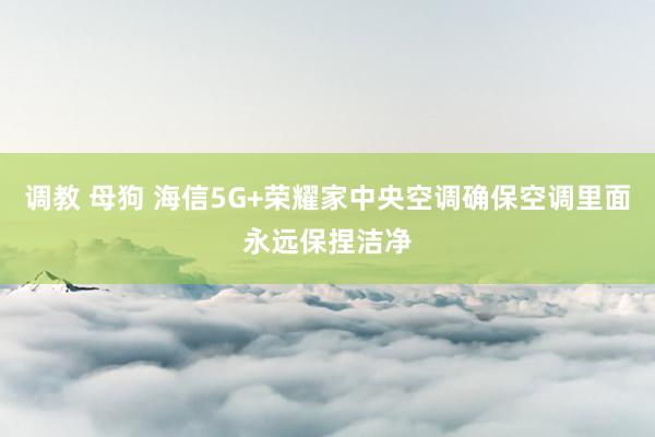 调教 母狗 海信5G+荣耀家中央空调确保空调里面永远保捏洁净