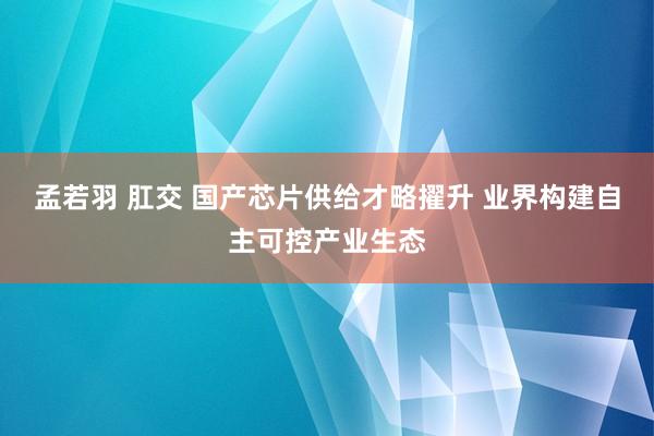 孟若羽 肛交 国产芯片供给才略擢升 业界构建自主可控产业生态