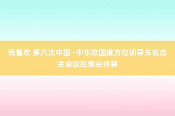 我喜欢 第六次中国—中东欧国度方位训导东说念主会议在烟台开幕