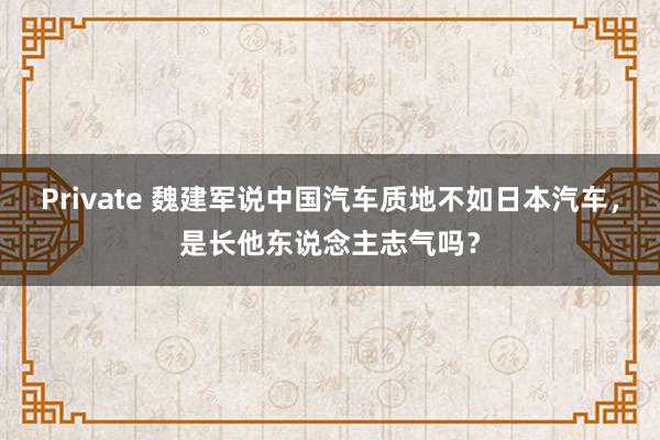 Private 魏建军说中国汽车质地不如日本汽车，是长他东说念主志气吗？