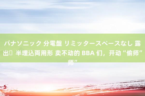 パナソニック 分電盤 リミッタースペースなし 露出・半埋込両用形 卖不动的 BBA 们，开动“偷师”