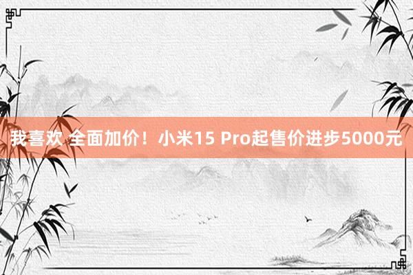 我喜欢 全面加价！小米15 Pro起售价进步5000元