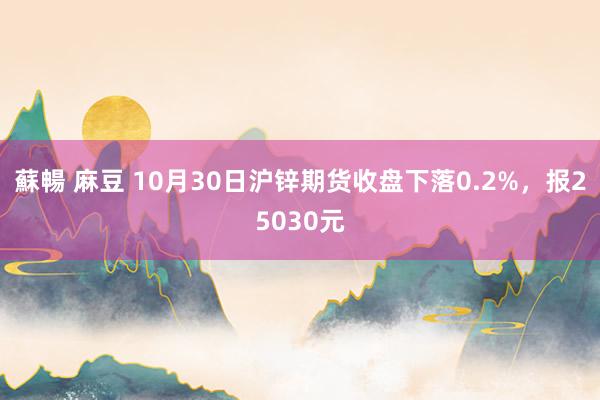 蘇暢 麻豆 10月30日沪锌期货收盘下落0.2%，报25030元