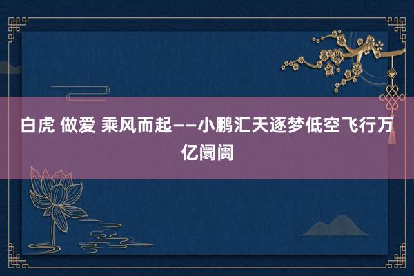 白虎 做爱 乘风而起——小鹏汇天逐梦低空飞行万亿阛阓