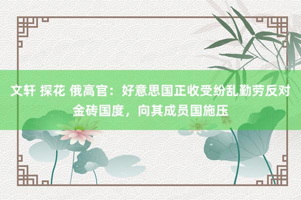 文轩 探花 俄高官：好意思国正收受纷乱勤劳反对金砖国度，向其成员国施压