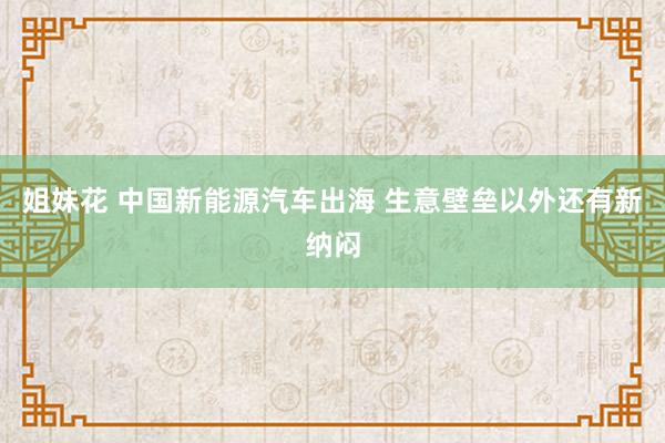 姐妹花 中国新能源汽车出海 生意壁垒以外还有新纳闷