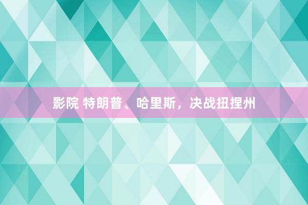 影院 特朗普、哈里斯，决战扭捏州